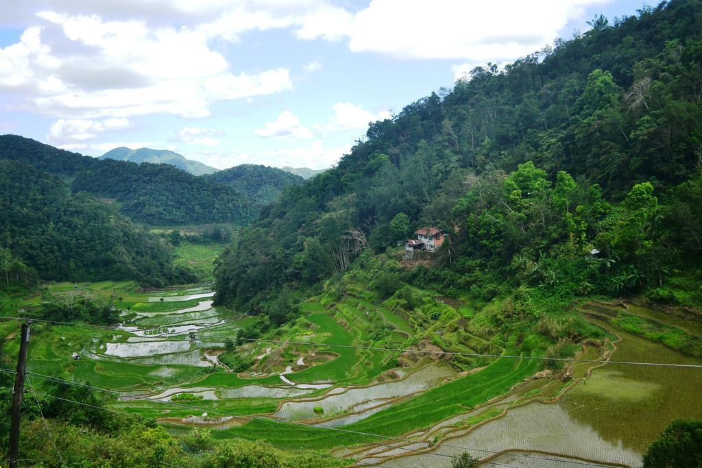 Banaue Greenfields Inn Экстерьер фото